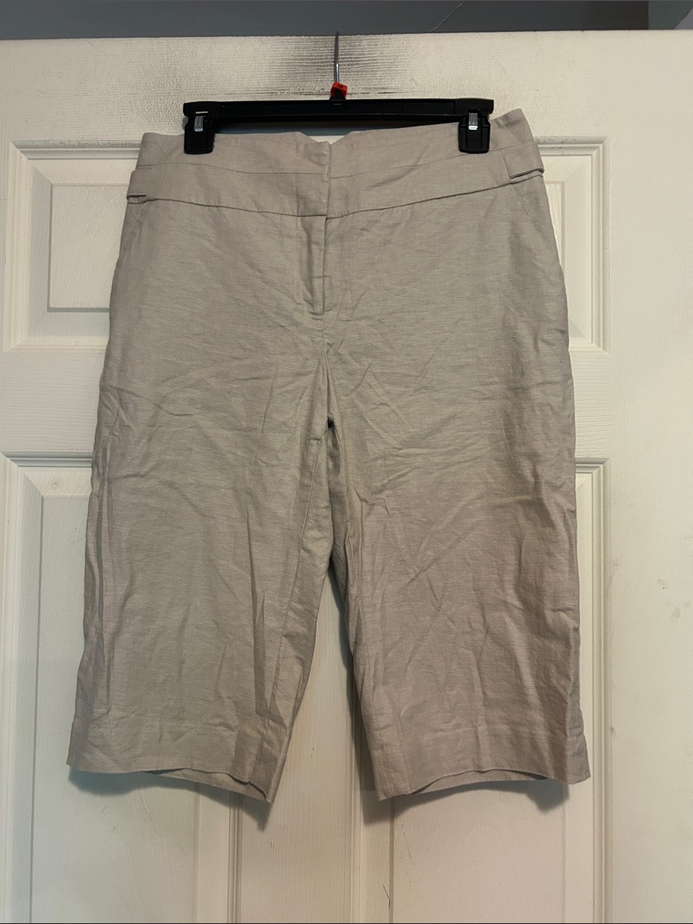 Dalia Collection Linen Blend Shorts Size 4